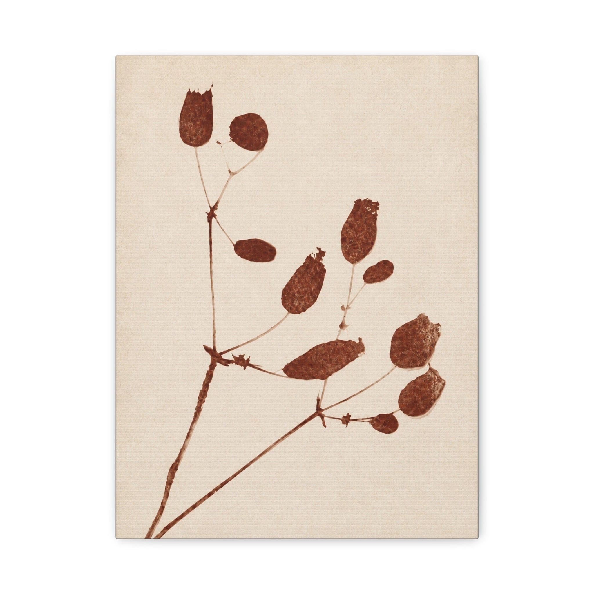 Botanical Minimalist Matte Canvas Wall Art — Stretched Floral Print