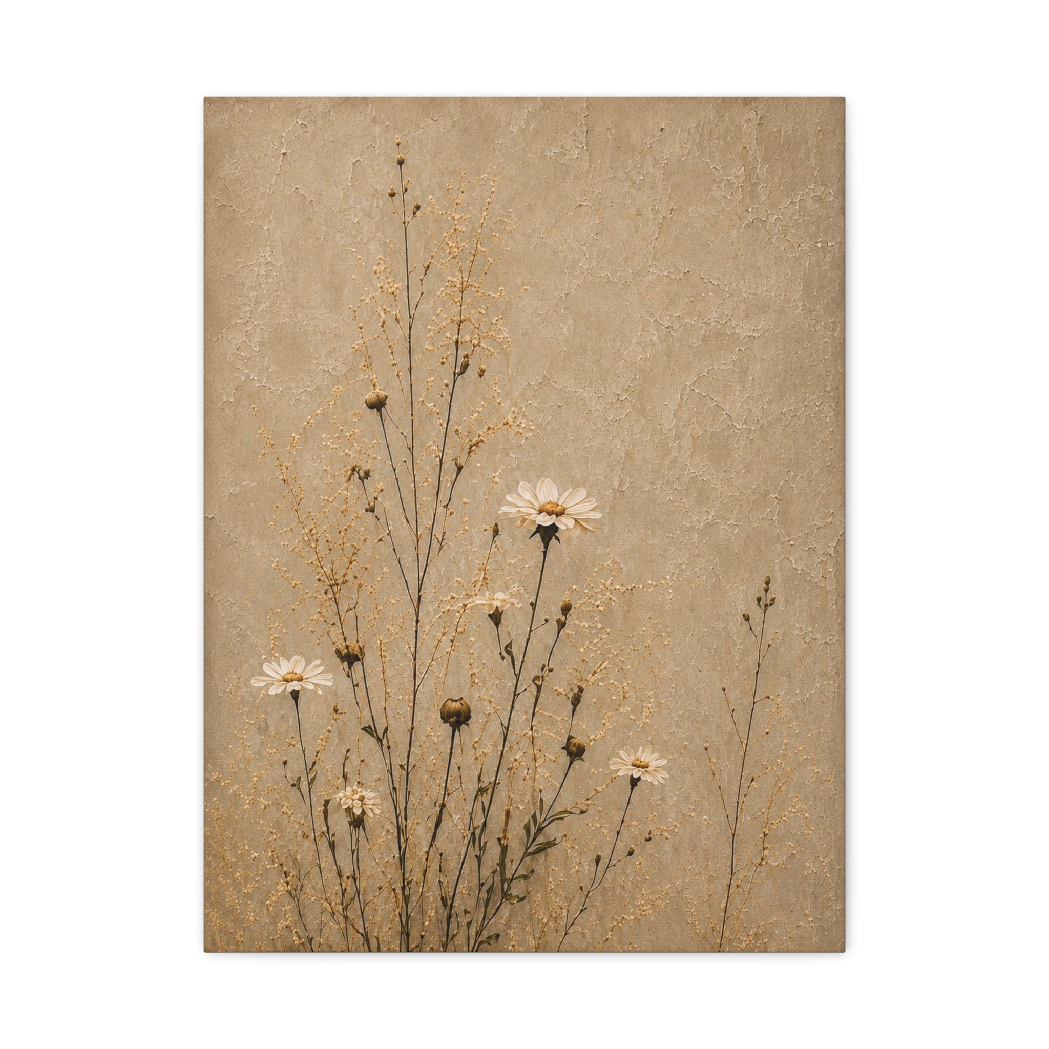 Neutral Daisies Matte Canvas Wall Art — Stretched 1.25"