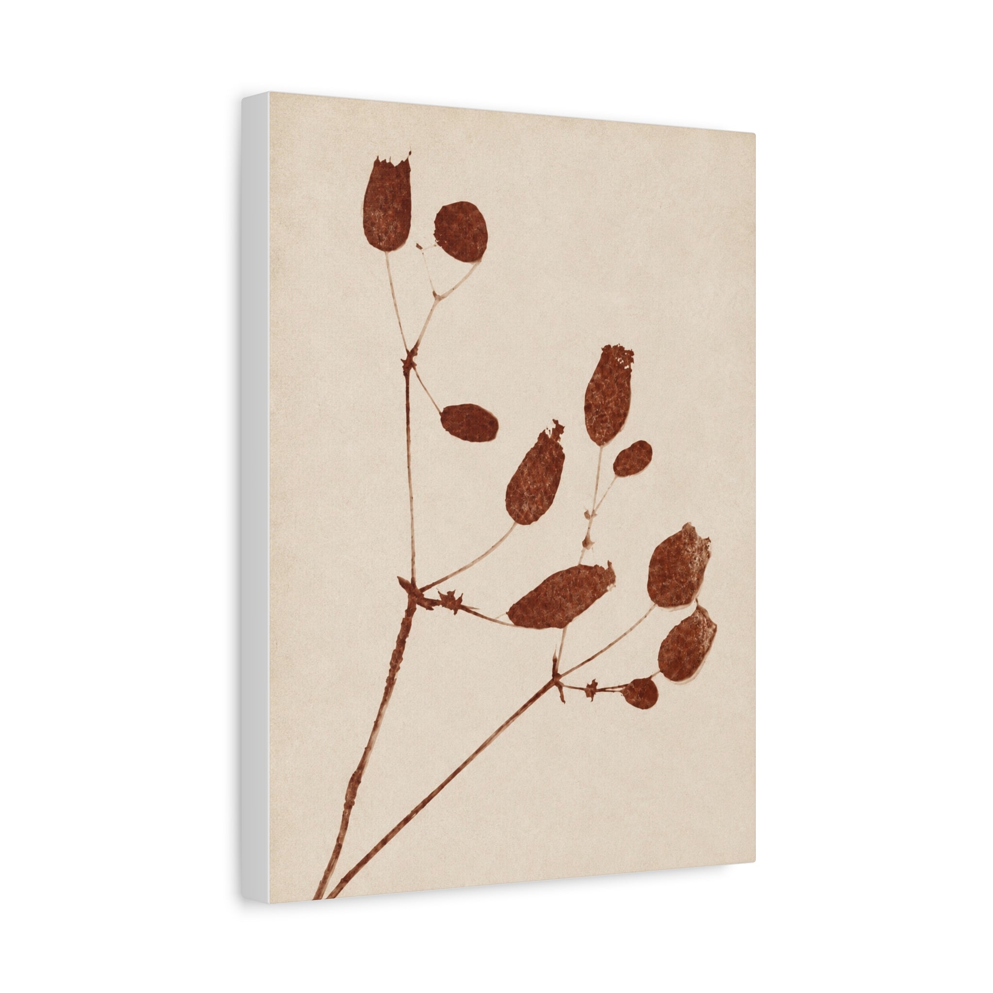 Botanical Minimalist Matte Canvas Wall Art — Stretched Floral Print