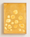 Golden Poppy - Framed Floating Canvas